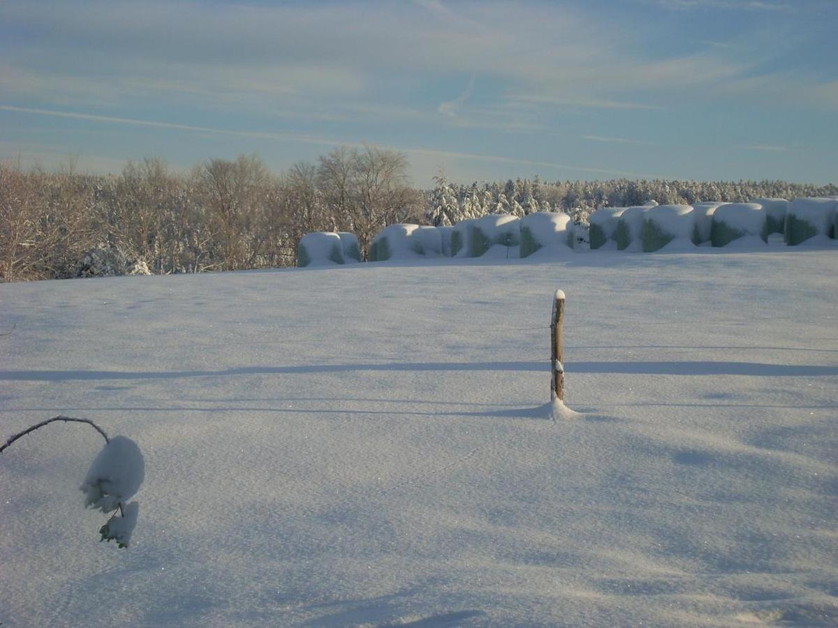 Location Vacances Des 4 Vents Girmont-Val-dʼAjol Екстериор снимка